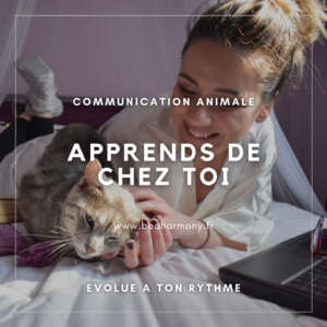 formation communication animale apprends de chez toi