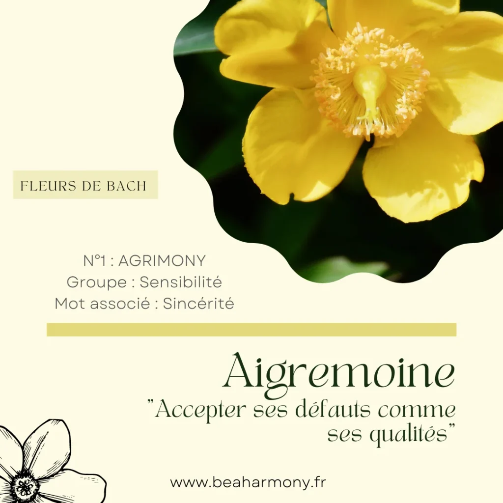 agrimony