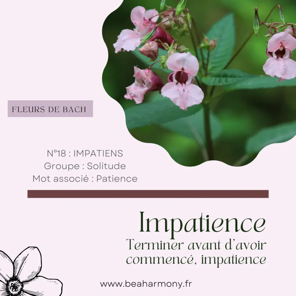 impatiens