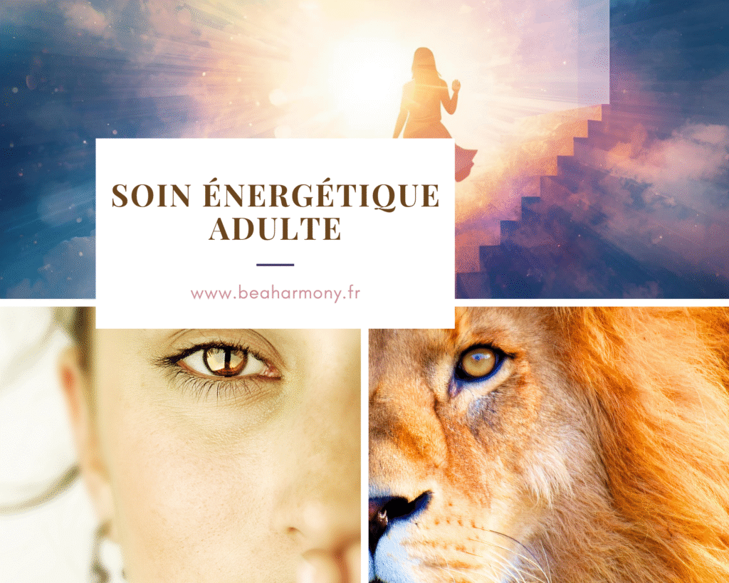 soin énergétique adulte